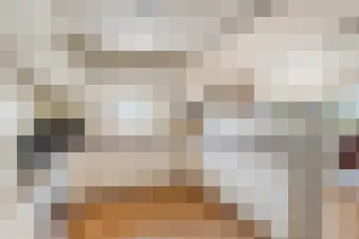 Schoneveld 1 B 019 Breskens thumbnail 13
