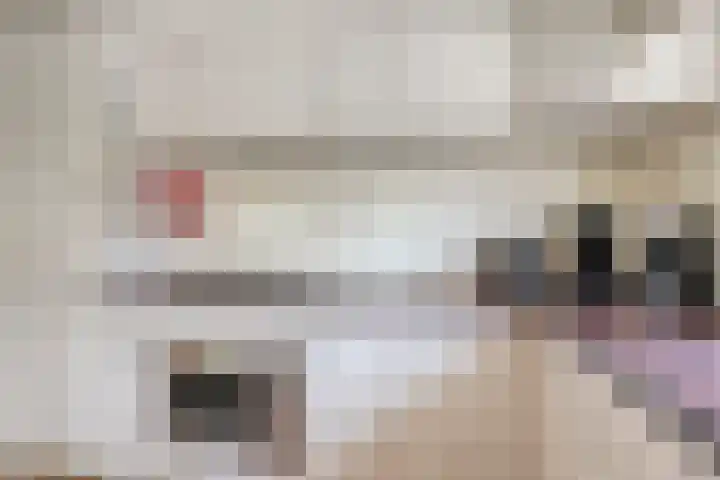 Schoneveld 1 B 019 Breskens thumbnail 14