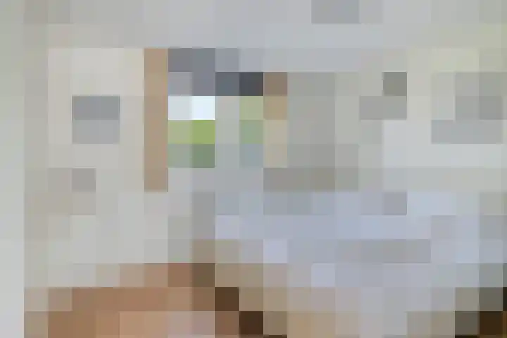 Schoneveld 1 B 019 Breskens thumbnail 16