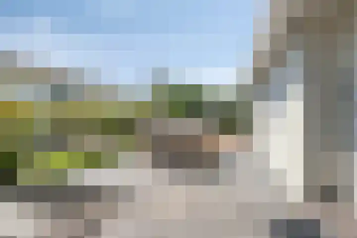 Schoneveld 1 B 019 Breskens thumbnail 20
