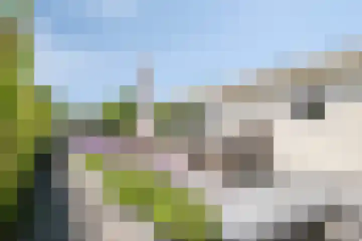 Schoneveld 1 B 019 Breskens thumbnail 21