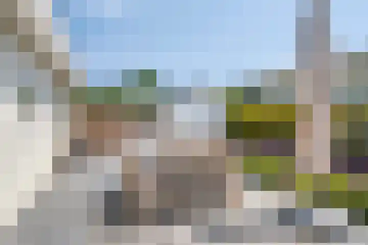 Schoneveld 1 B 019 Breskens thumbnail 22