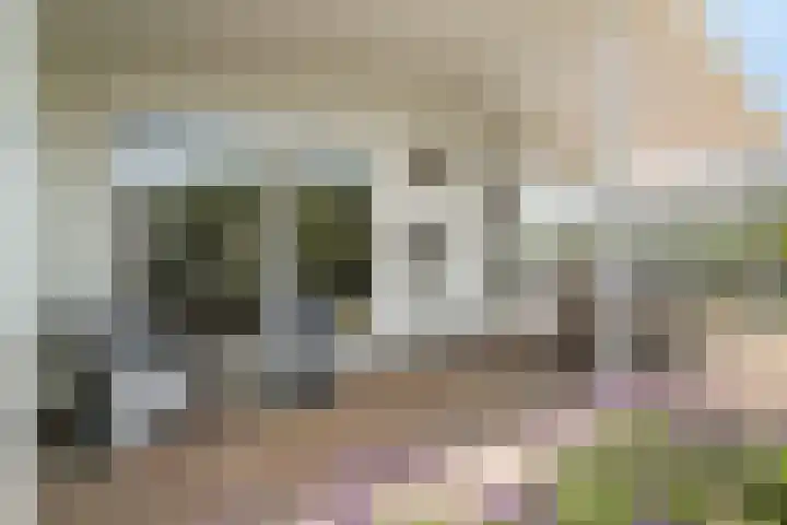 Schoneveld 1 B 019 Breskens thumbnail 24