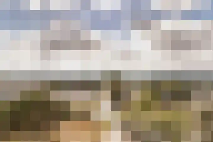 Schoneveld 1 B 019 Breskens thumbnail 28