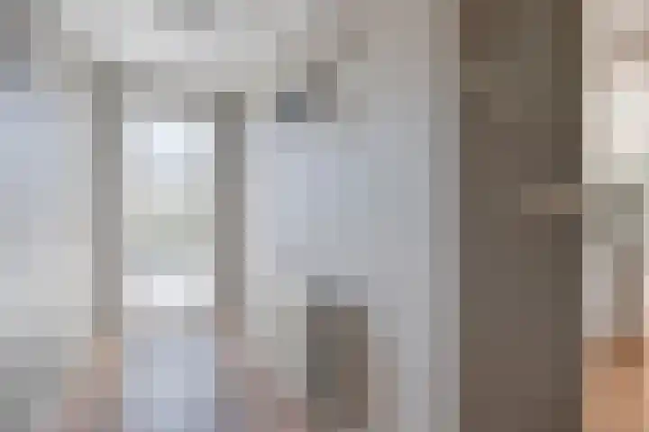 Schoneveld 1 B 019 Breskens thumbnail 4