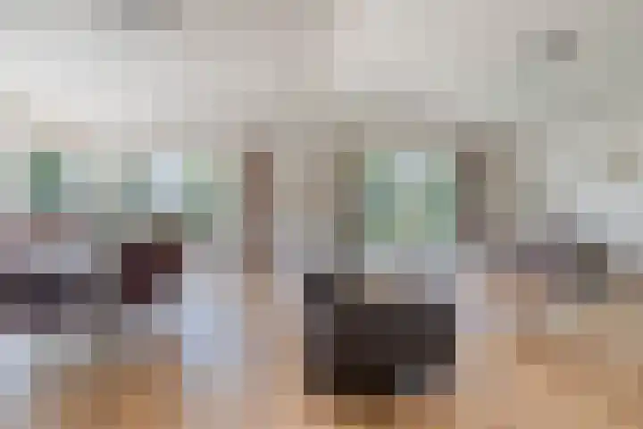 Schoneveld 1 B 019 Breskens thumbnail 6