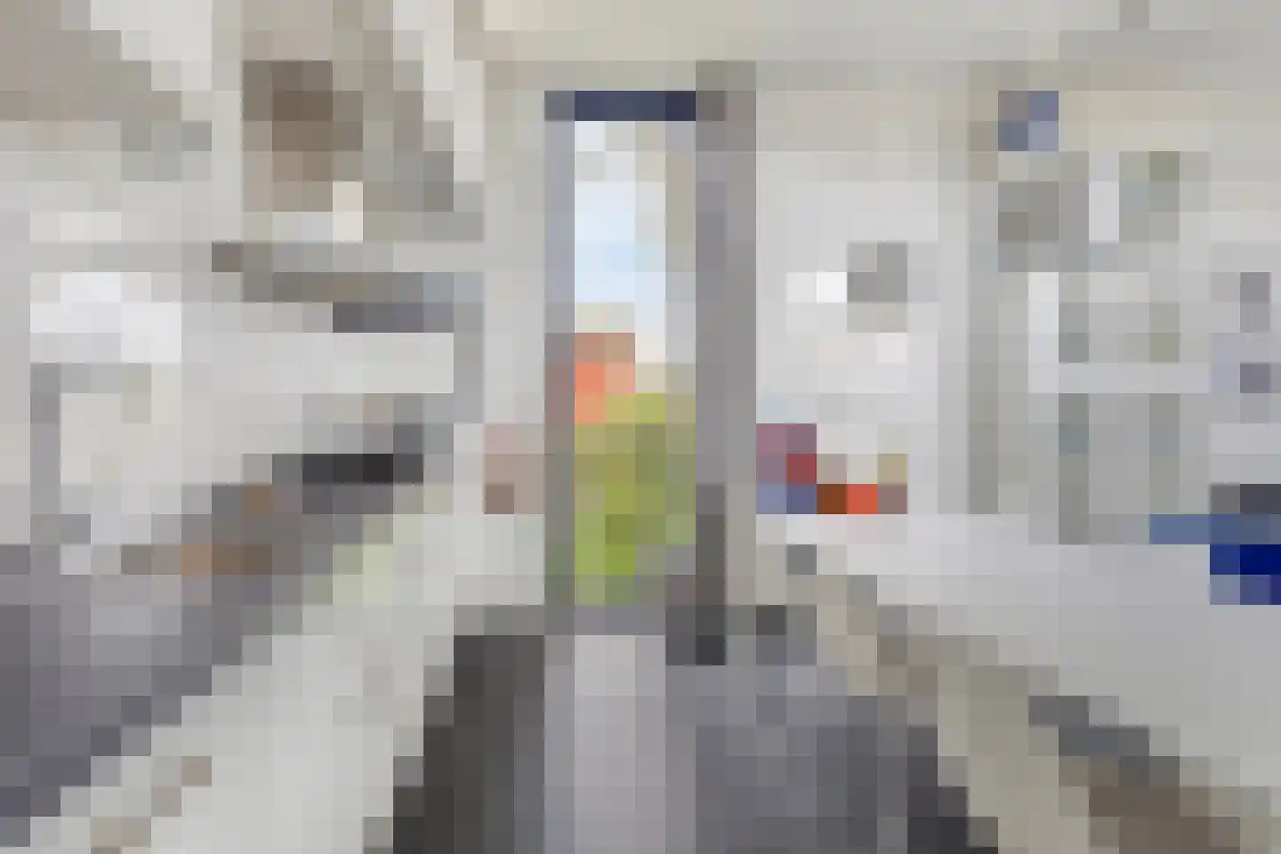 Schoneveld 1 B 034 Breskens thumbnail 17