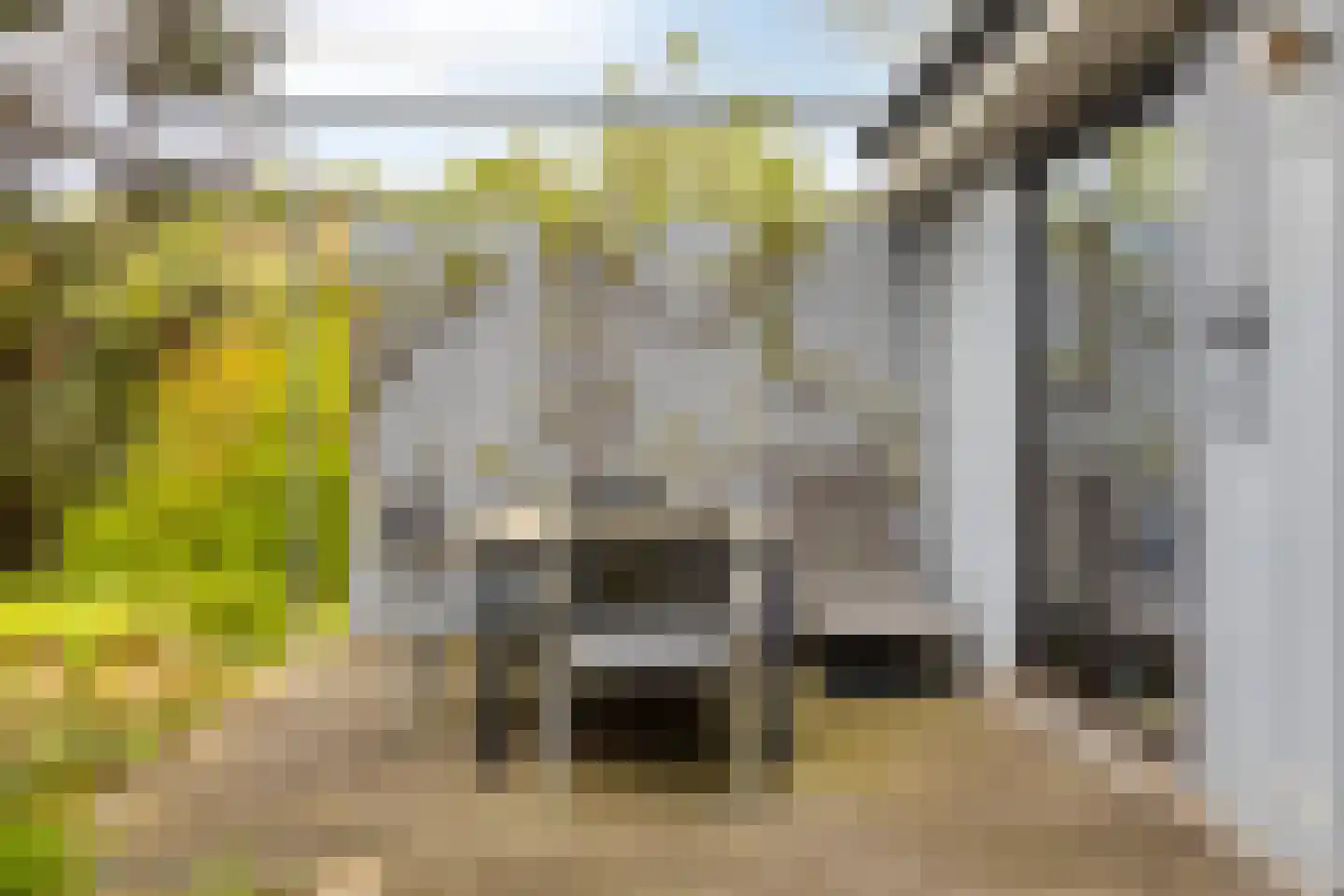 Schoneveld 1 B 034 Breskens thumbnail 23