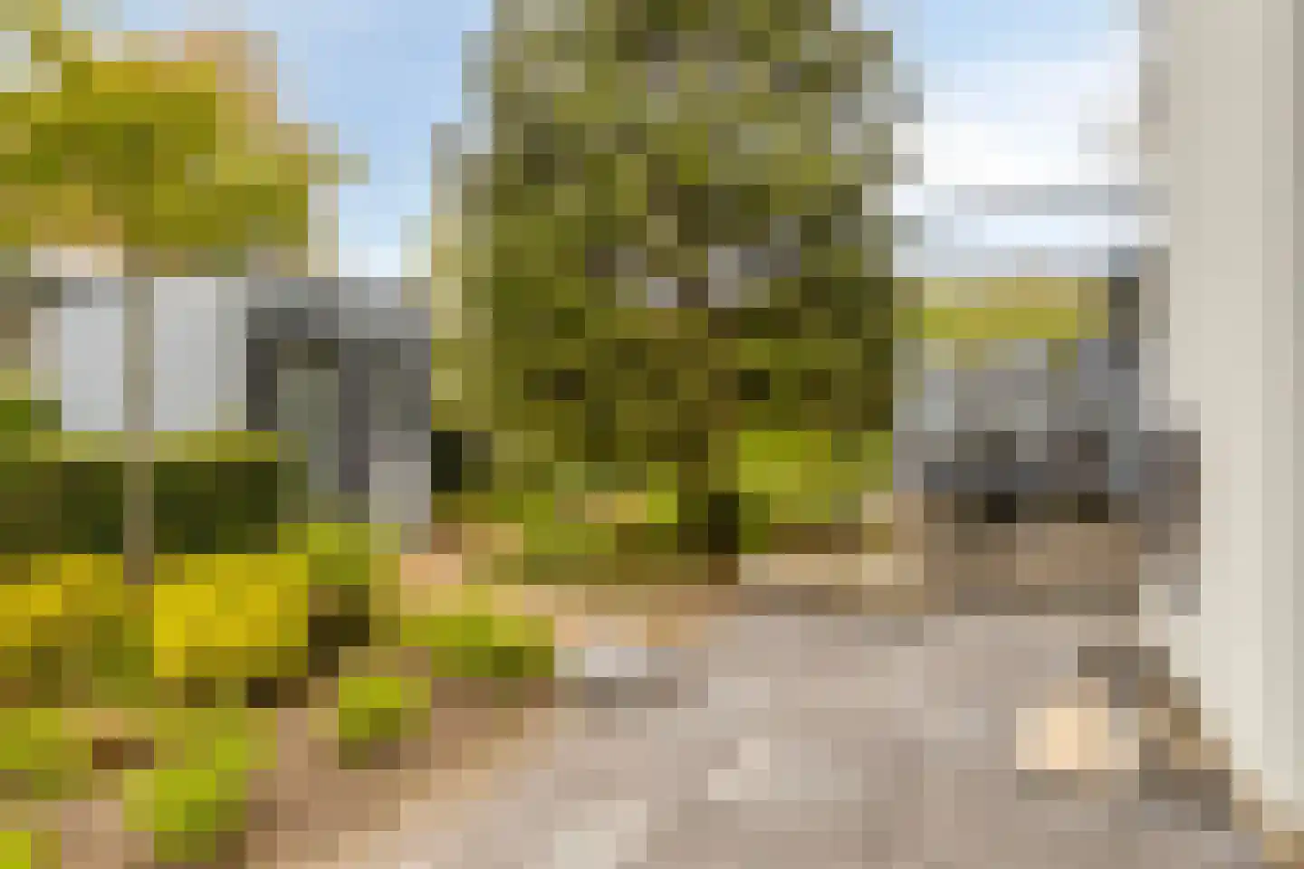 Schoneveld 1 B 034 Breskens thumbnail 27