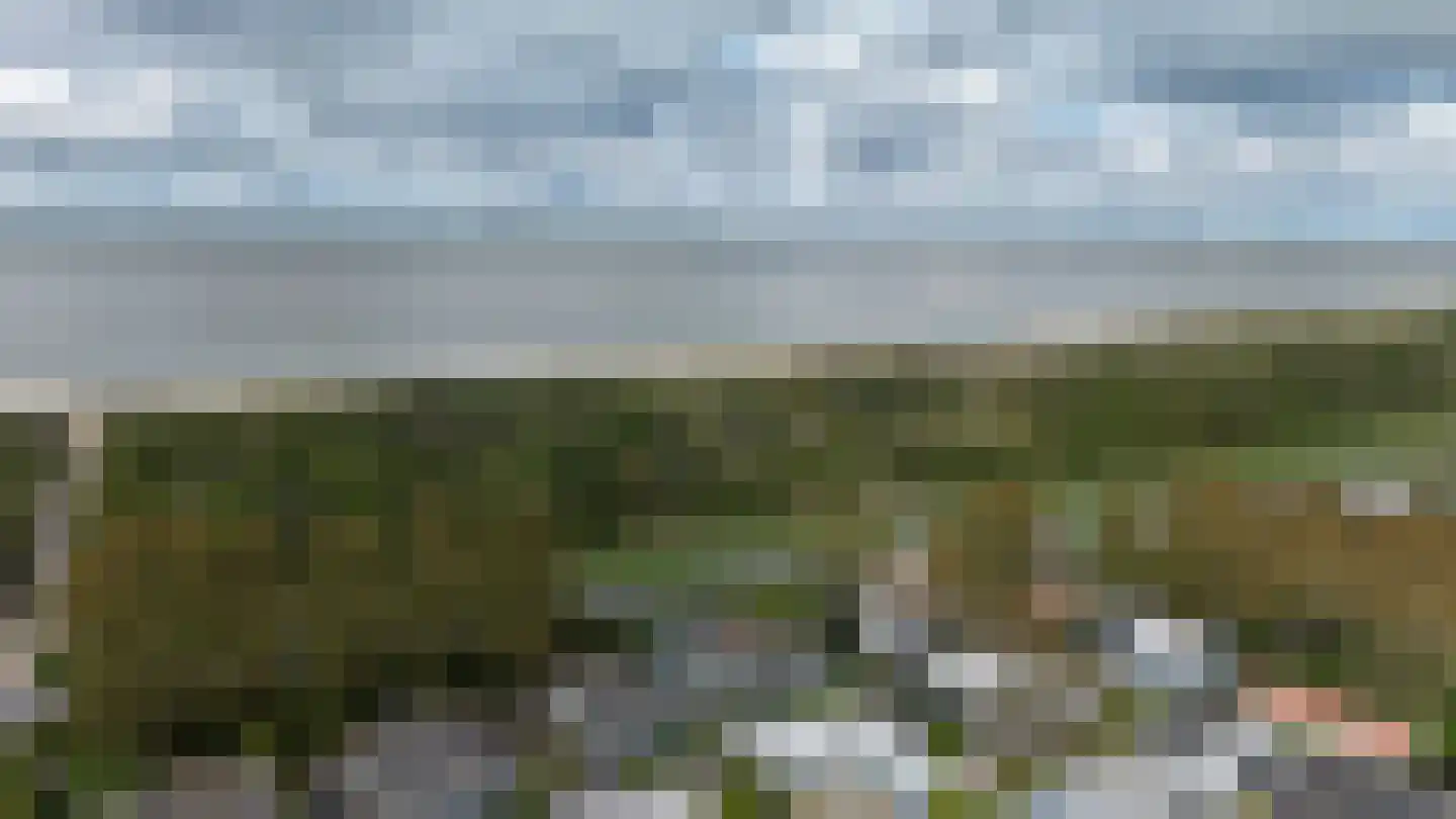 Schoneveld 1 B 034 Breskens thumbnail 28