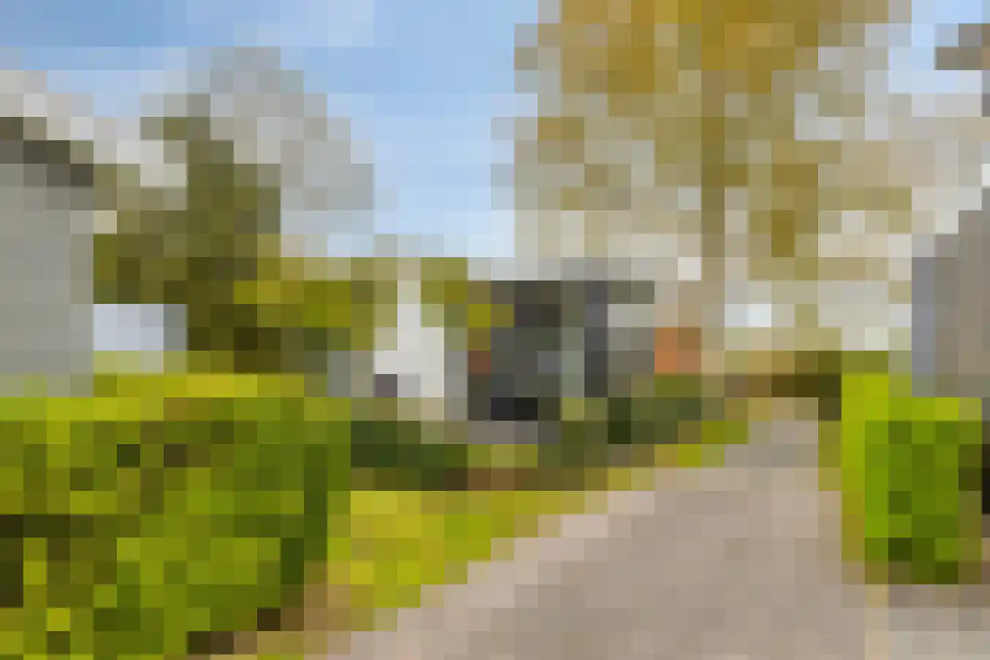 Schoneveld 1 B 034 Breskens thumbnail 29