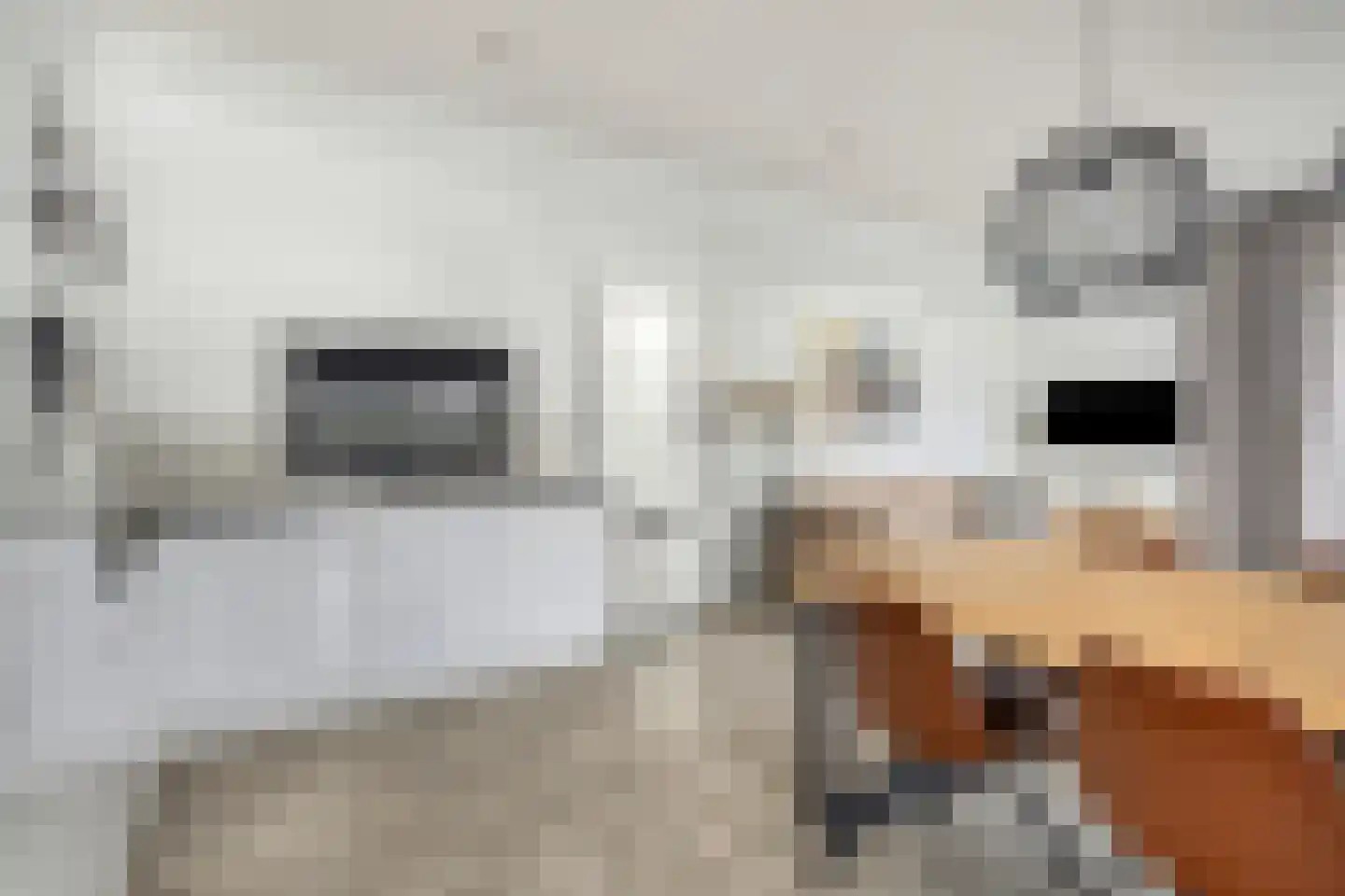 Schoneveld 1 B 058 Breskens thumbnail 13