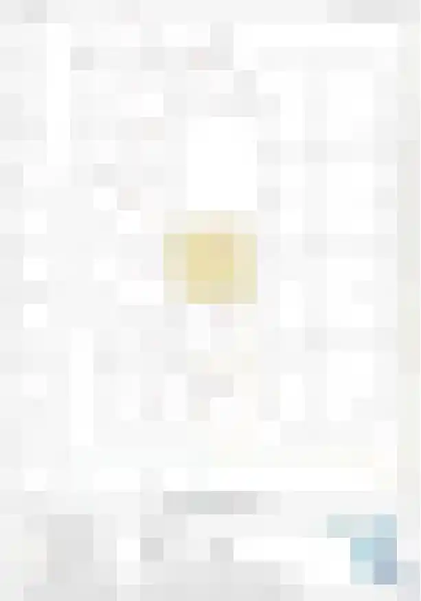 Schoneveld 1 B 058 Breskens thumbnail 31