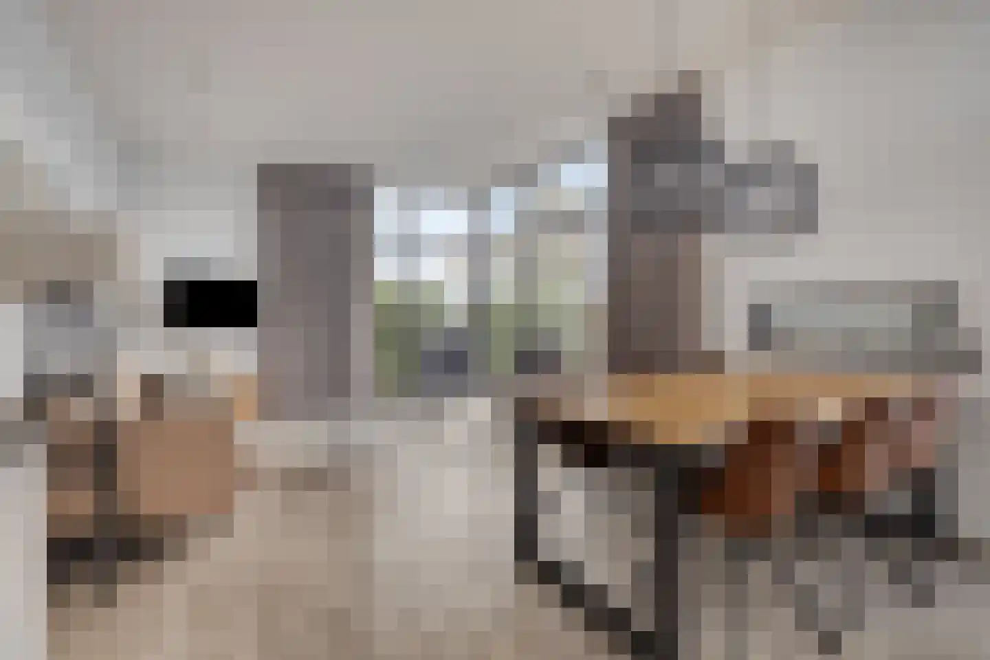 Schoneveld 1 B 058 Breskens thumbnail 5