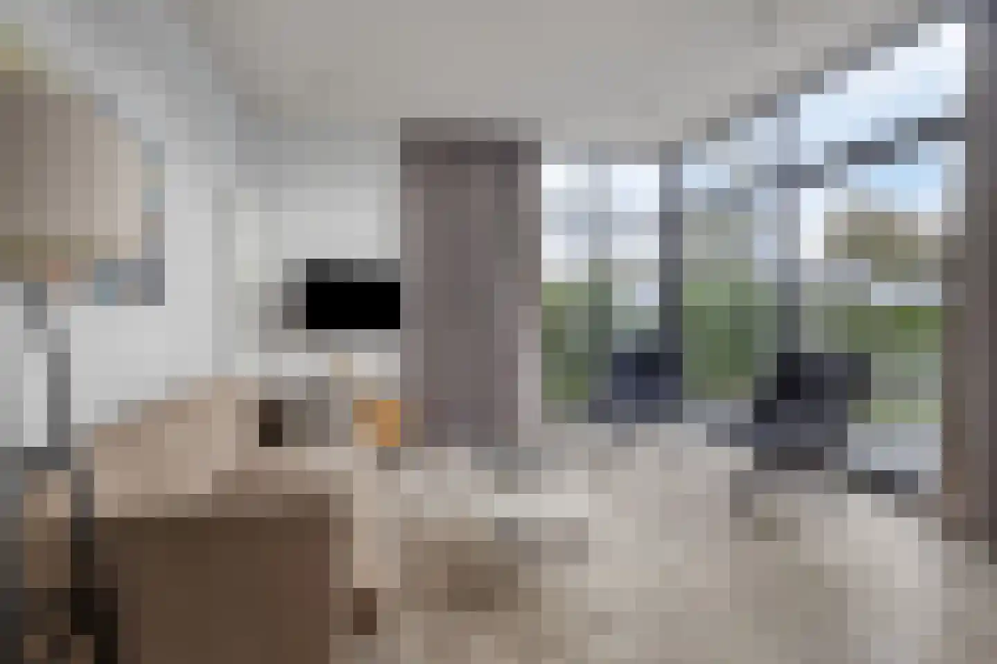 Schoneveld 1 B 058 Breskens thumbnail 6