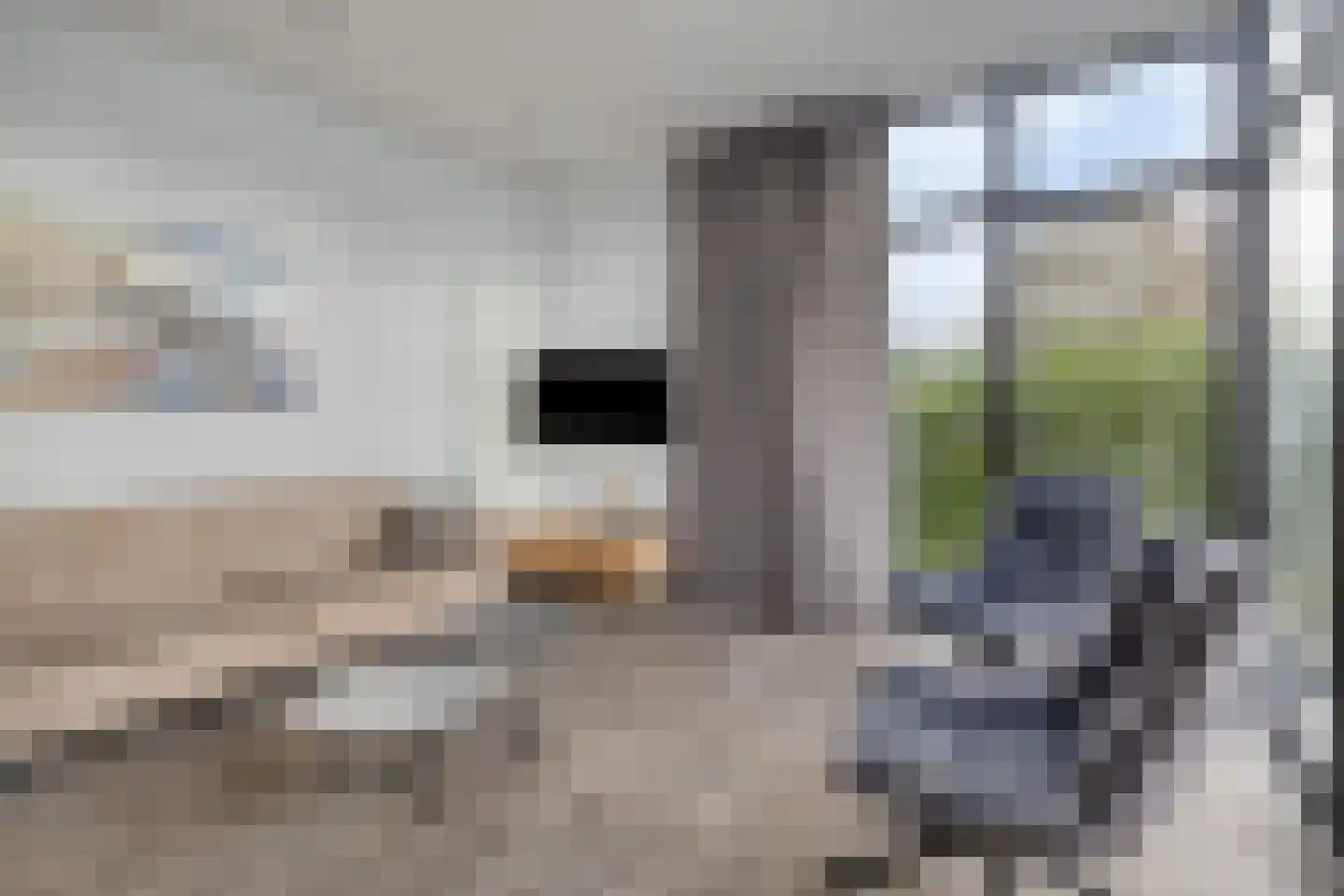 Schoneveld 1 B 058 Breskens thumbnail 7