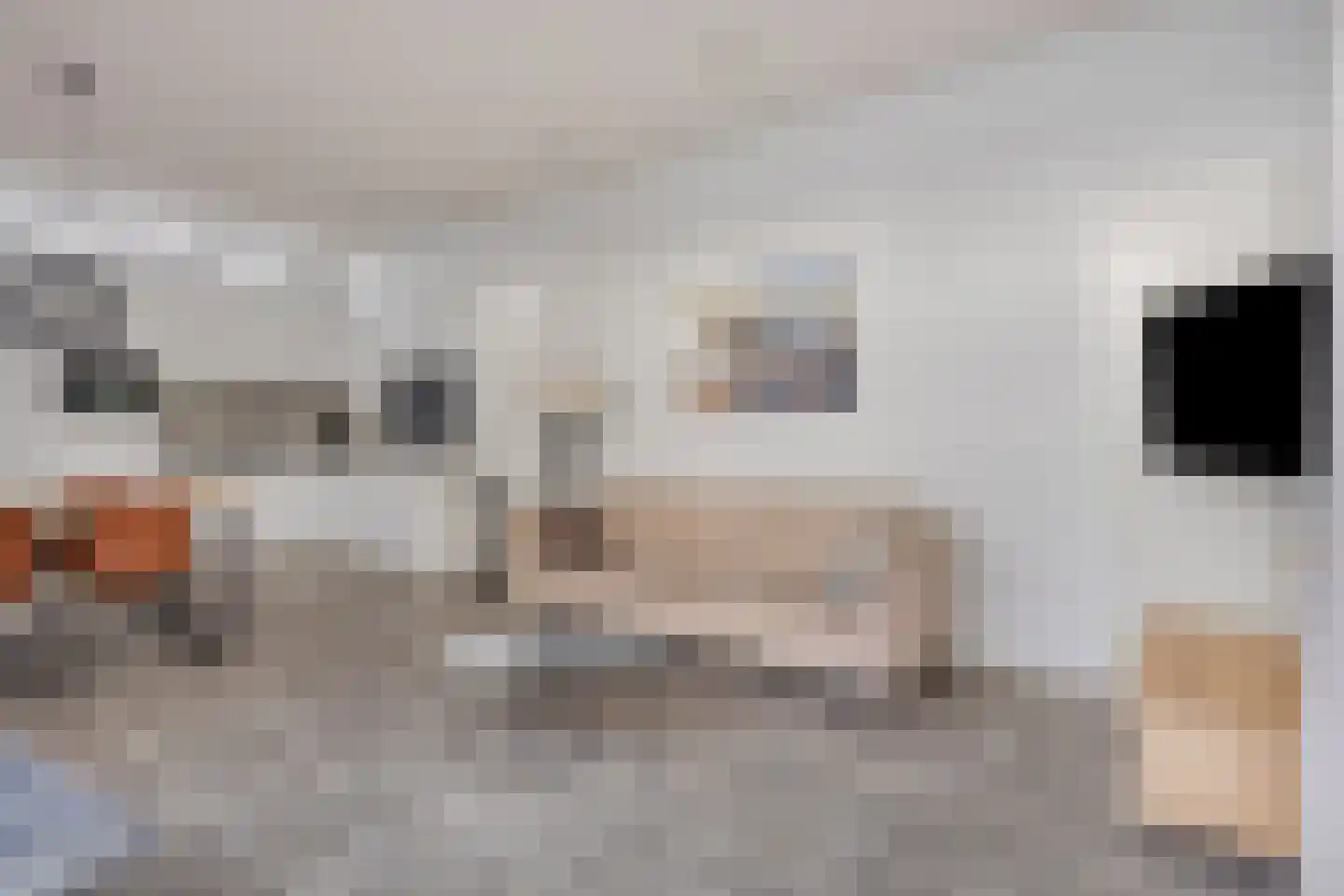 Schoneveld 1 B 058 Breskens thumbnail 8