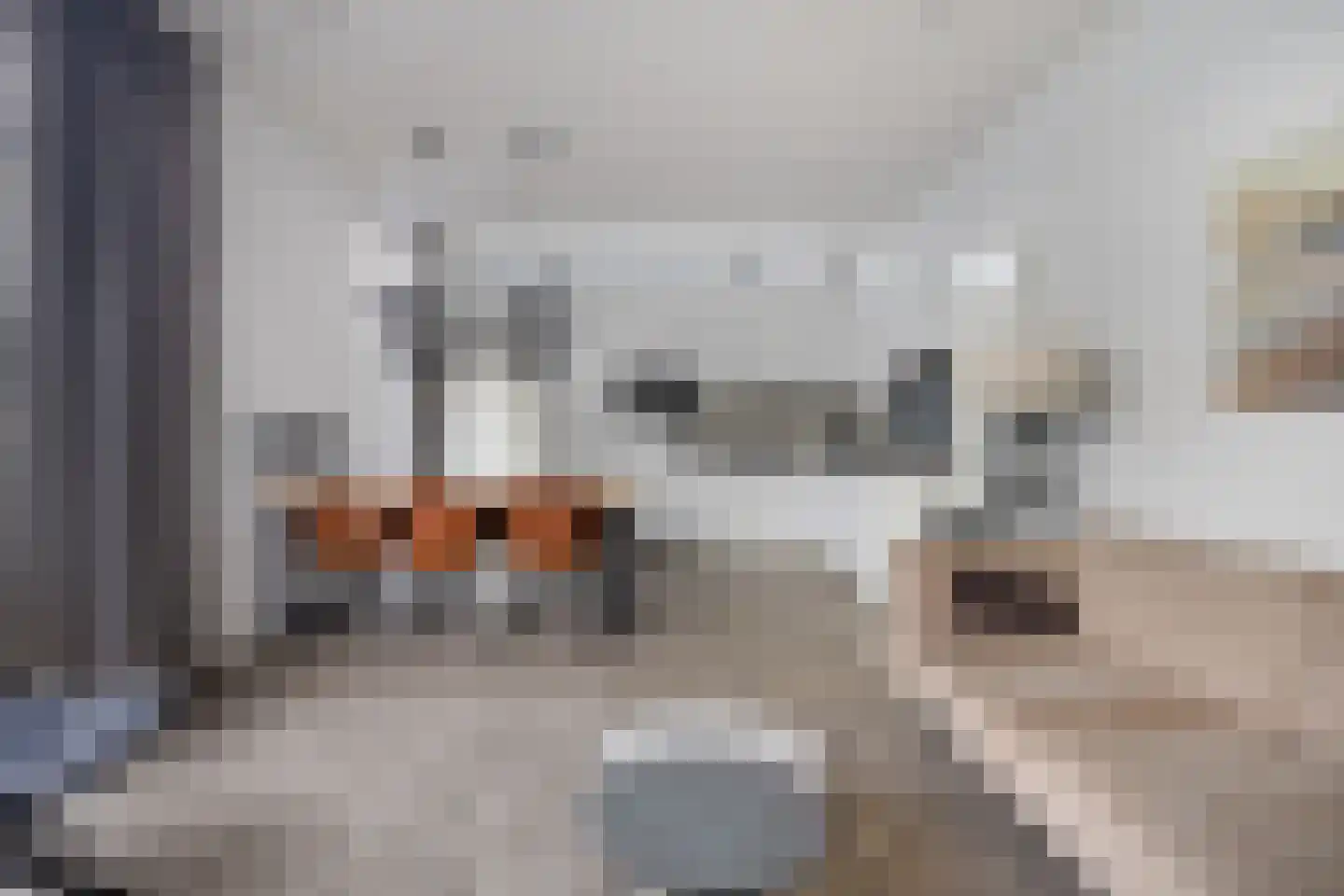 Schoneveld 1 B 058 Breskens thumbnail 9