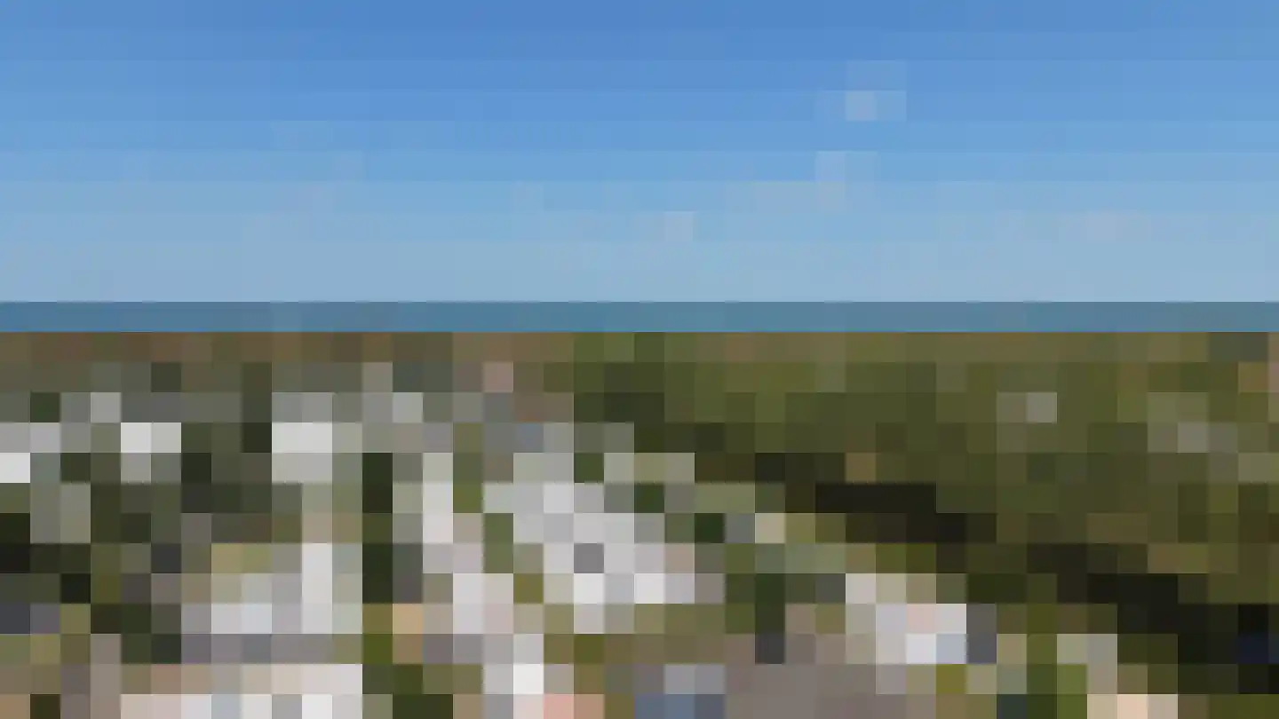 Schoneveld 1 B 107 Breskens thumbnail 20