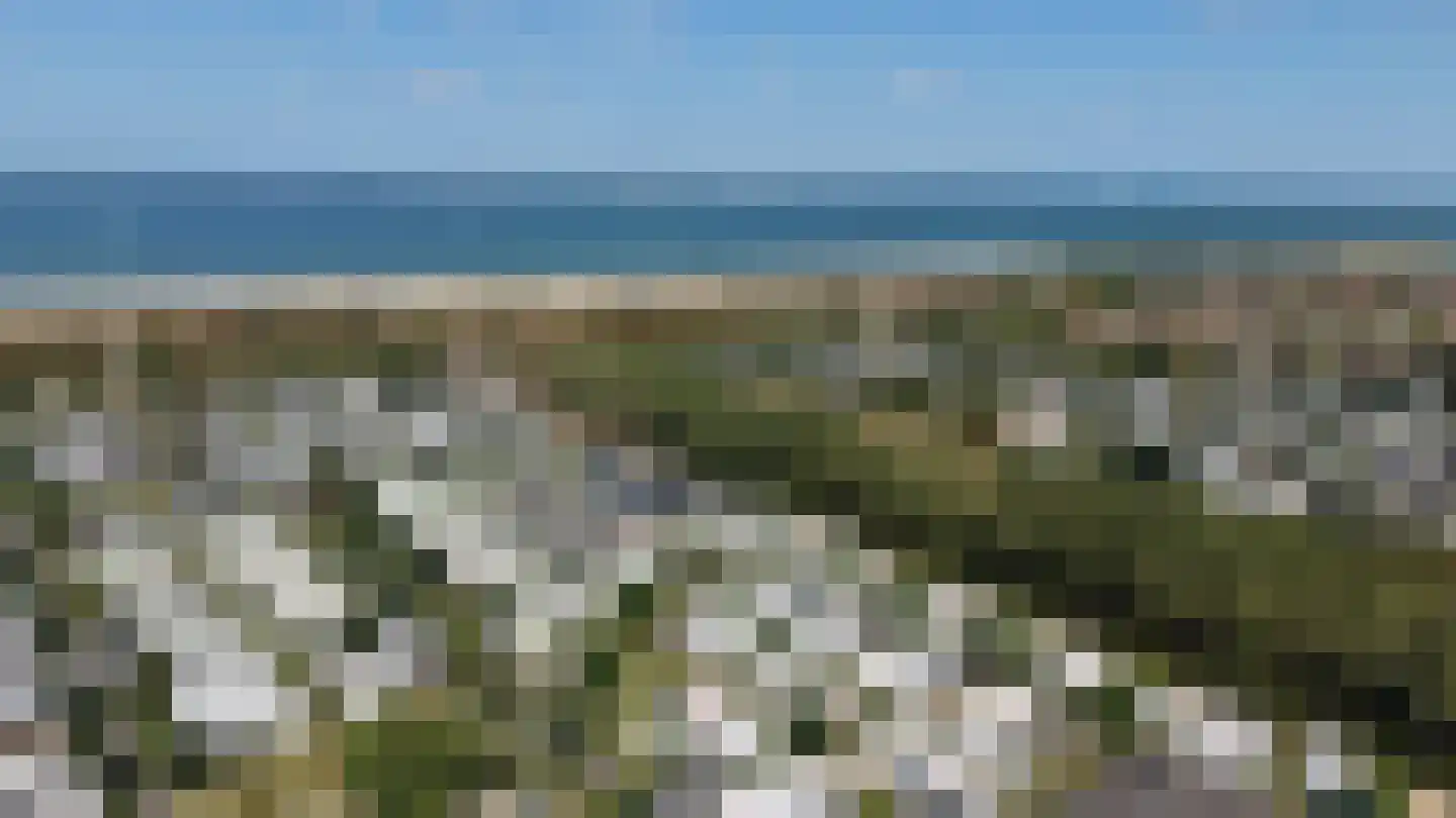 Schoneveld 1 B 107 Breskens thumbnail 21