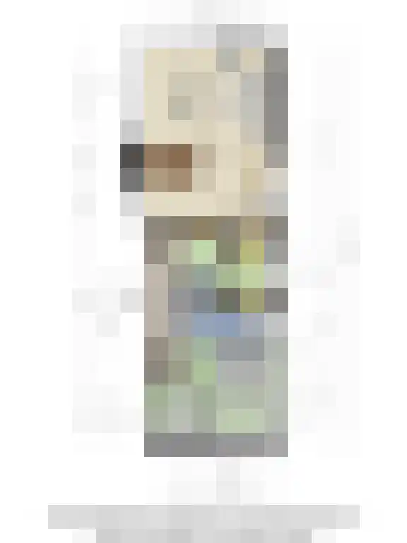 Schoneveld 1 B 107 Breskens thumbnail 24