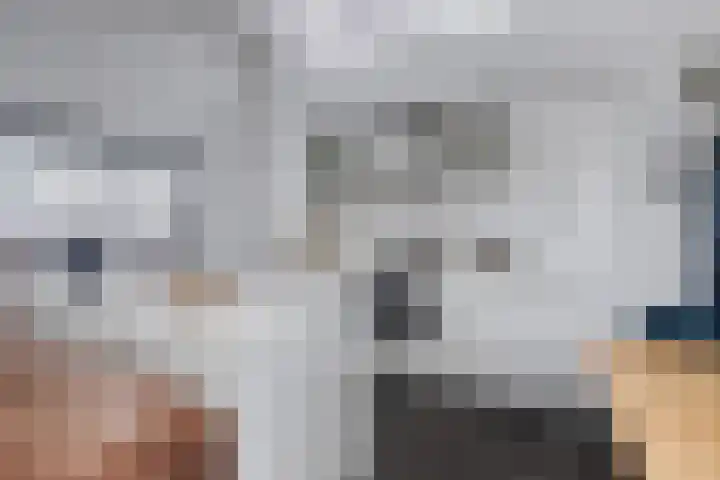 Schoneveld 1 B 111 Breskens thumbnail 11