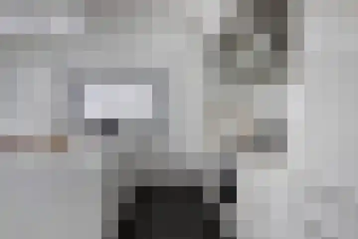 Schoneveld 1 B 111 Breskens thumbnail 12