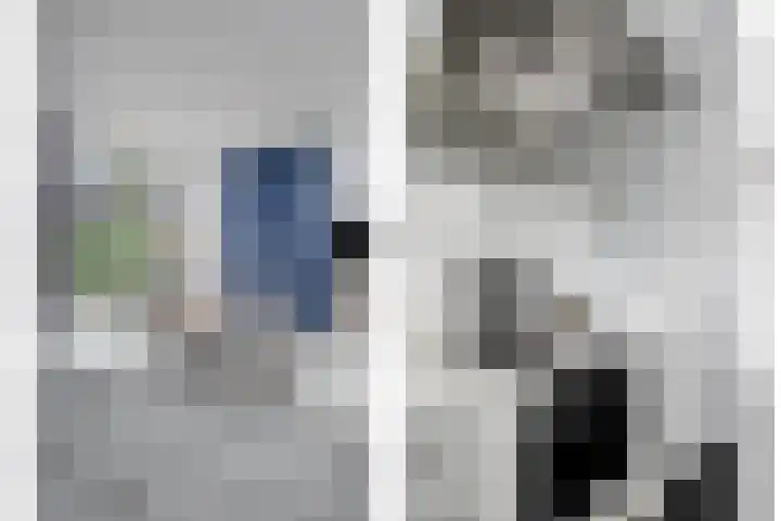 Schoneveld 1 B 111 Breskens thumbnail 13