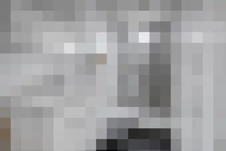 Schoneveld 1 B 111 Breskens thumbnail 15