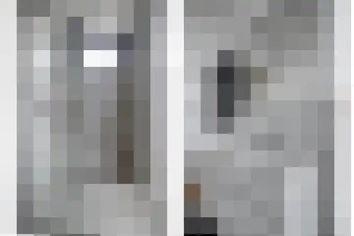 Schoneveld 1 B 111 Breskens thumbnail 16