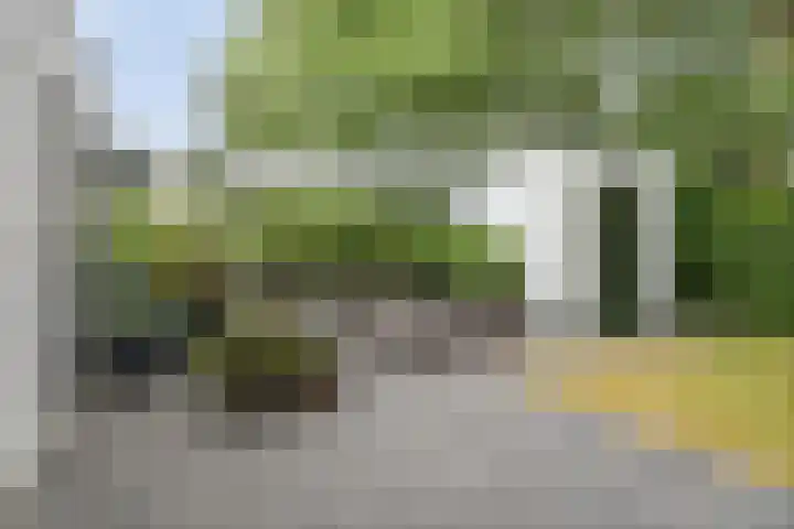 Schoneveld 1 B 111 Breskens thumbnail 18