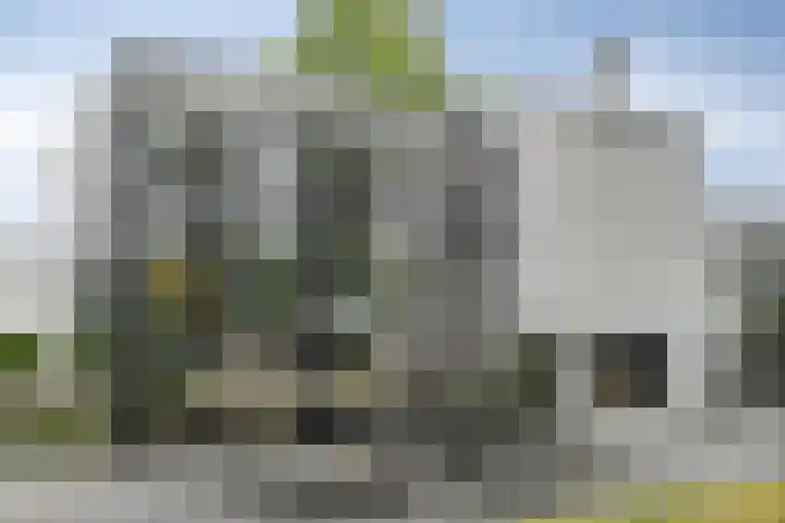 Schoneveld 1 B 111 Breskens thumbnail 21