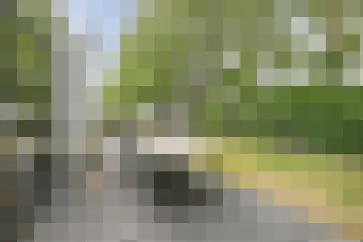 Schoneveld 1 B 111 Breskens thumbnail 22