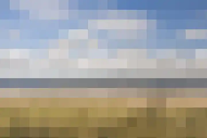 Schoneveld 1 B 111 Breskens thumbnail 24