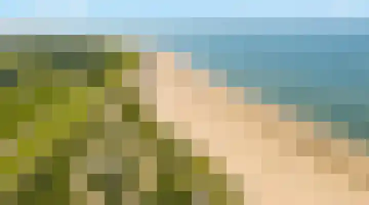 Schoneveld 1 B 111 Breskens thumbnail 25
