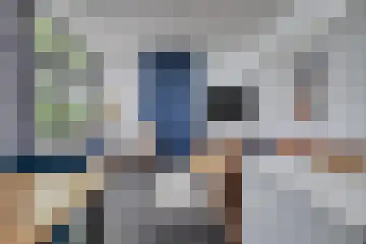 Schoneveld 1 B 111 Breskens thumbnail 5
