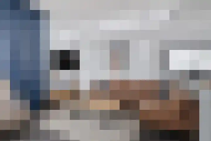 Schoneveld 1 B 111 Breskens thumbnail 6