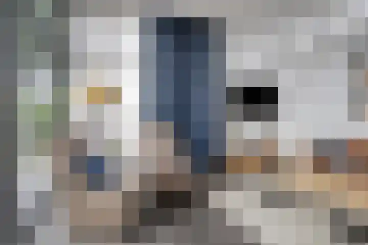 Schoneveld 1 B 111 Breskens thumbnail 7
