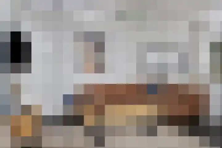 Schoneveld 1 B 111 Breskens thumbnail 9
