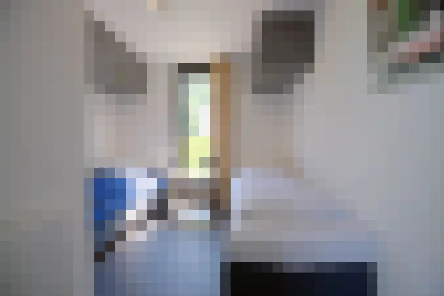 Schoneveld 1 B 124 Breskens thumbnail 14