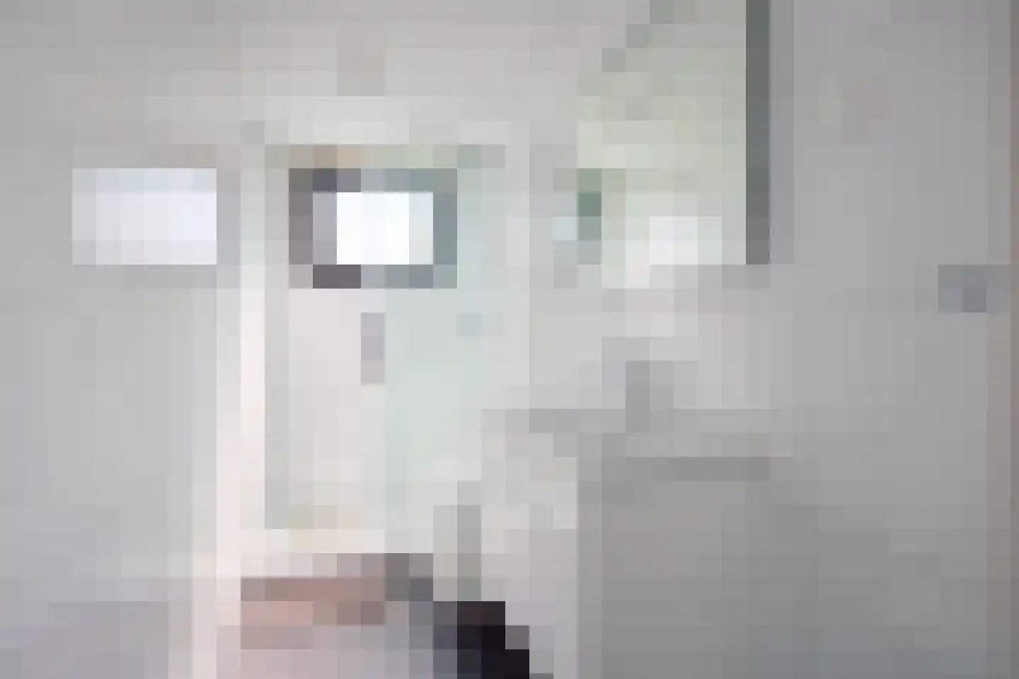 Schoneveld 1 B 124 Breskens thumbnail 16