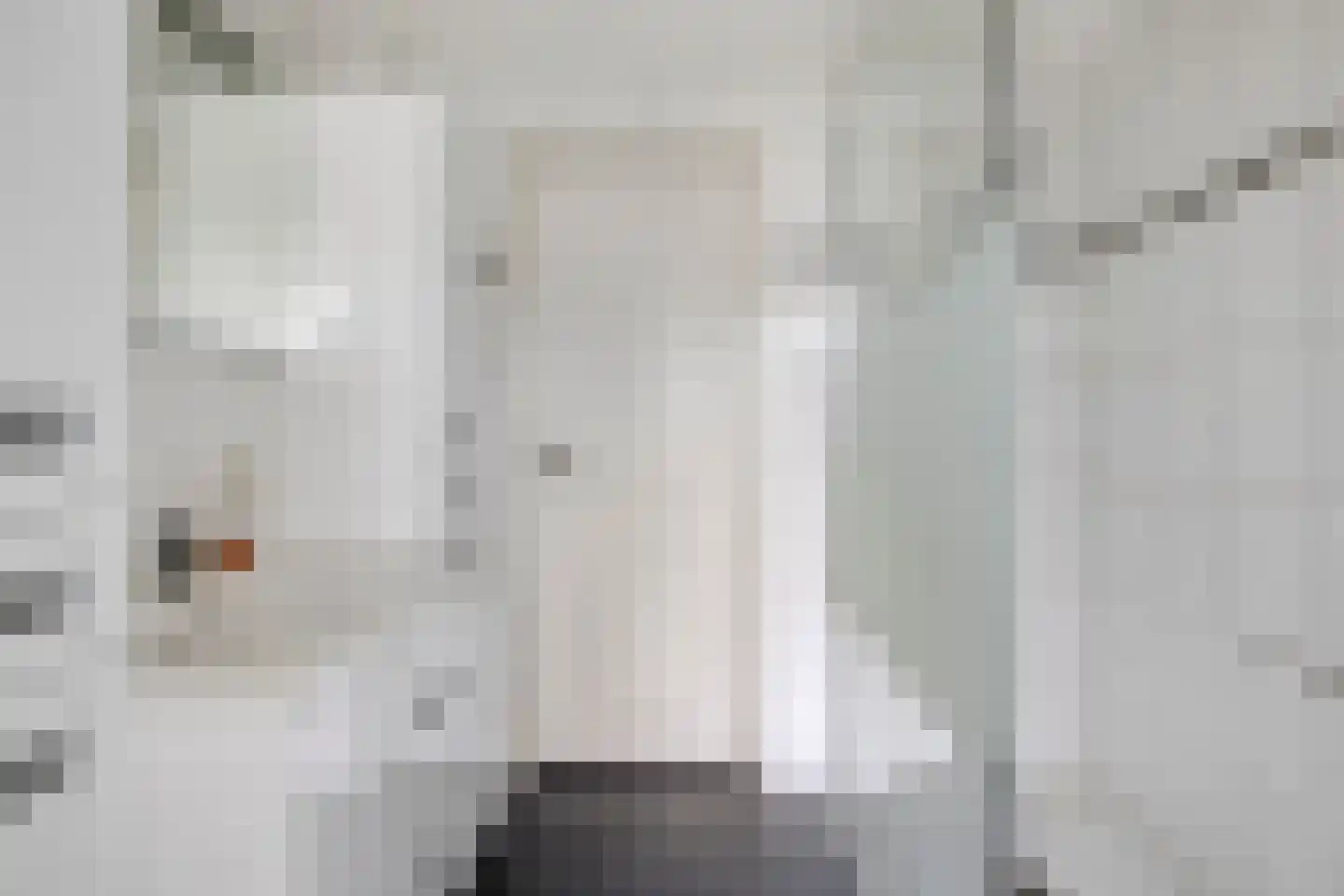 Schoneveld 1 E 079 Breskens thumbnail 13