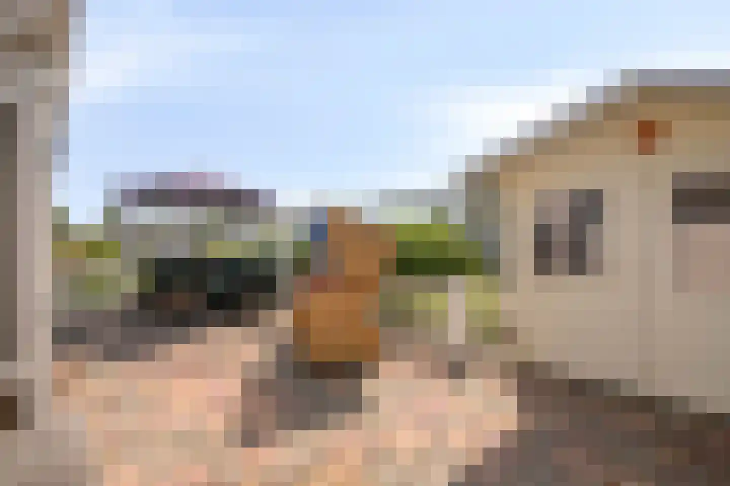 Schoneveld 1 E 079 Breskens thumbnail 19