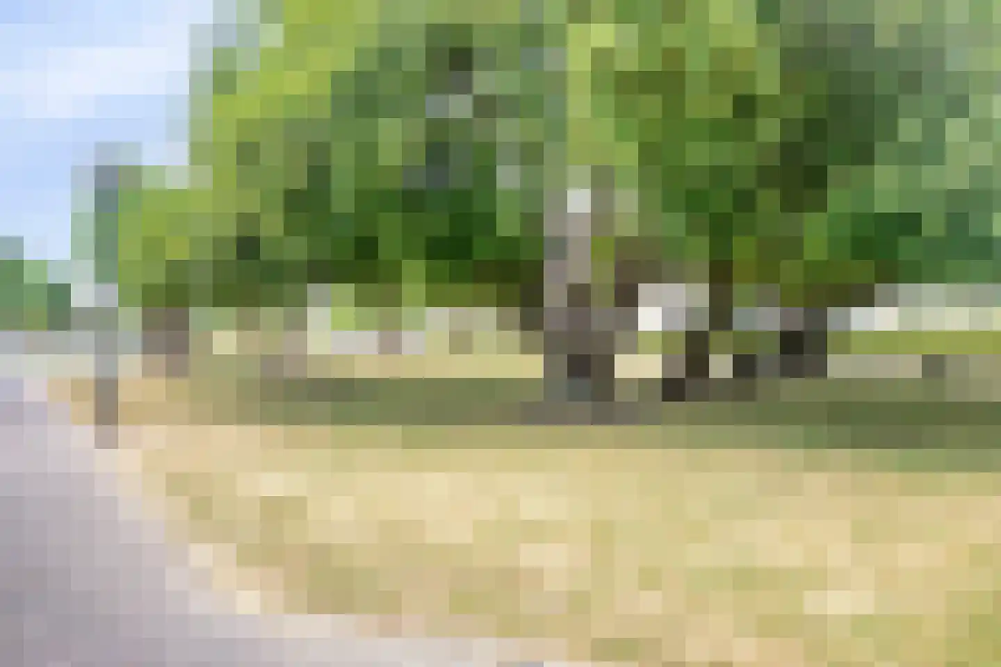Schoneveld 1 E 079 Breskens thumbnail 27