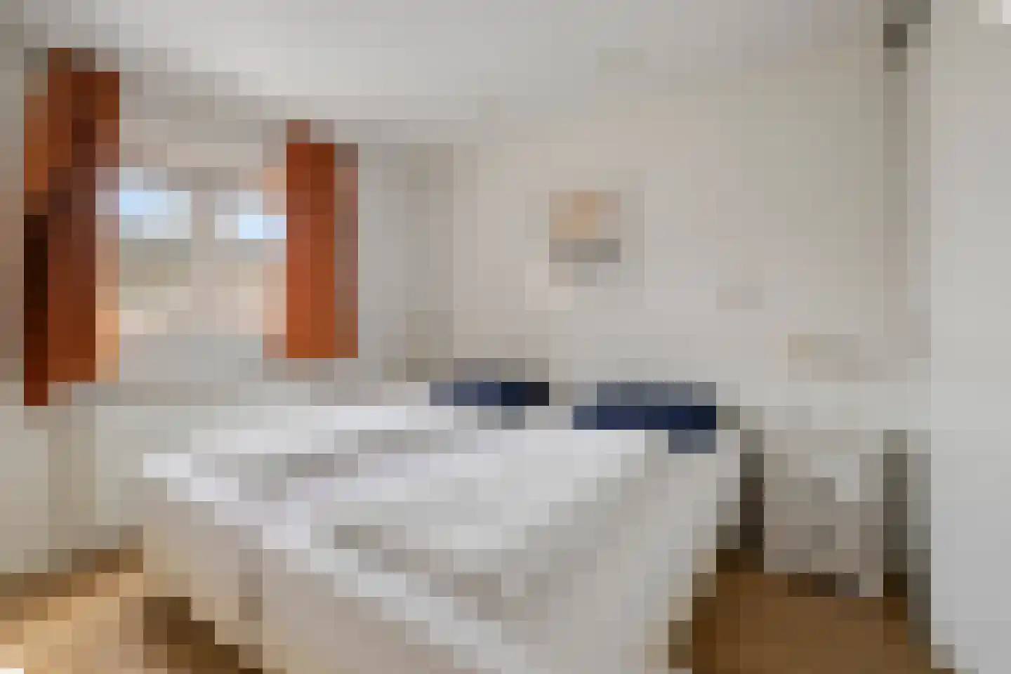 Schoneveld 1 G 145 Breskens thumbnail 15