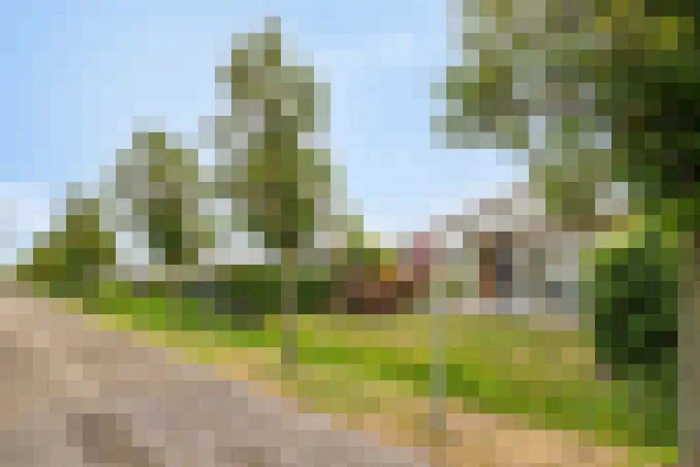 Schoneveld 1 G 145 Breskens thumbnail 4