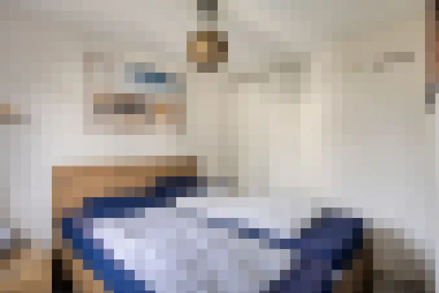 Schoneveld 1 G 154 Breskens thumbnail 11