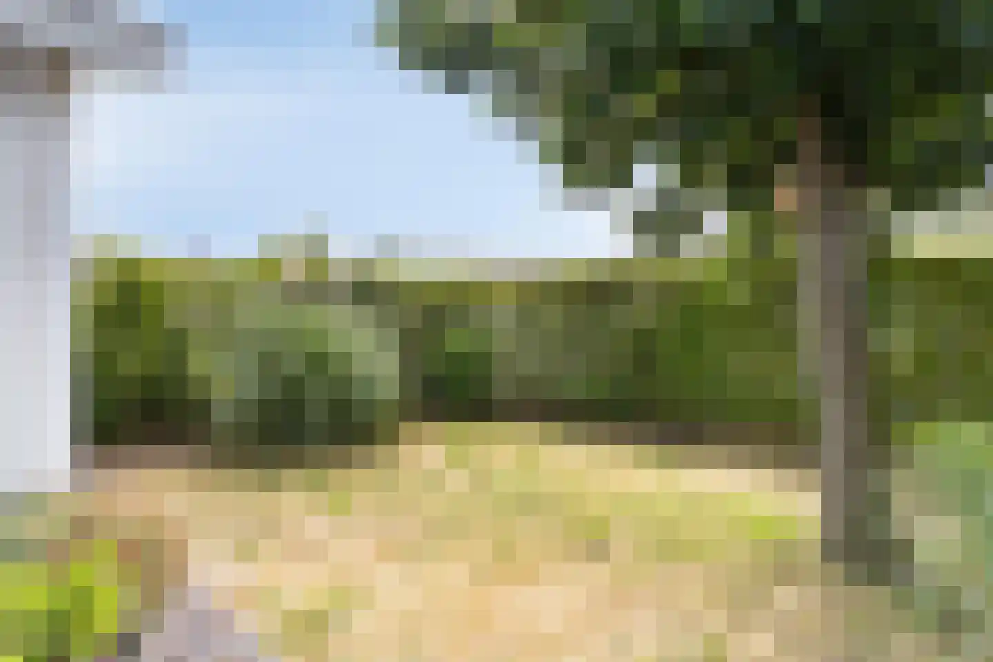 Schoneveld 1 G 154 Breskens thumbnail 18