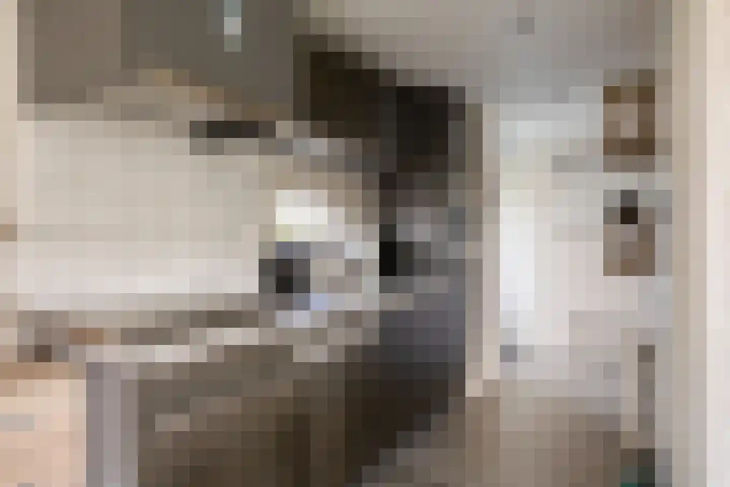 Schoneveld 1 G 154 Breskens thumbnail 9