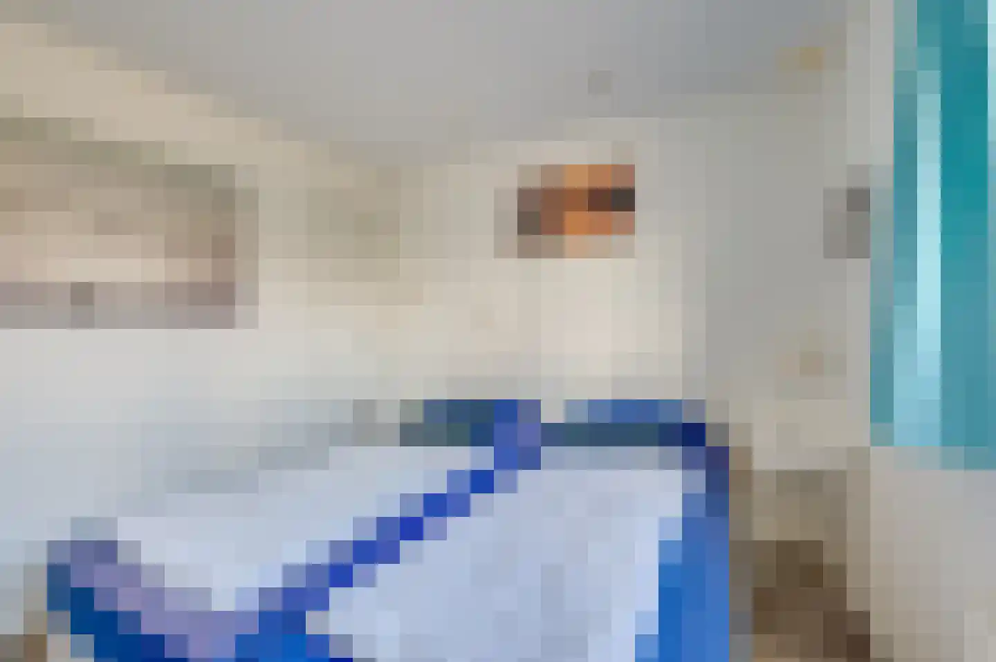 Schoneveld 1 H 178 Breskens thumbnail 19